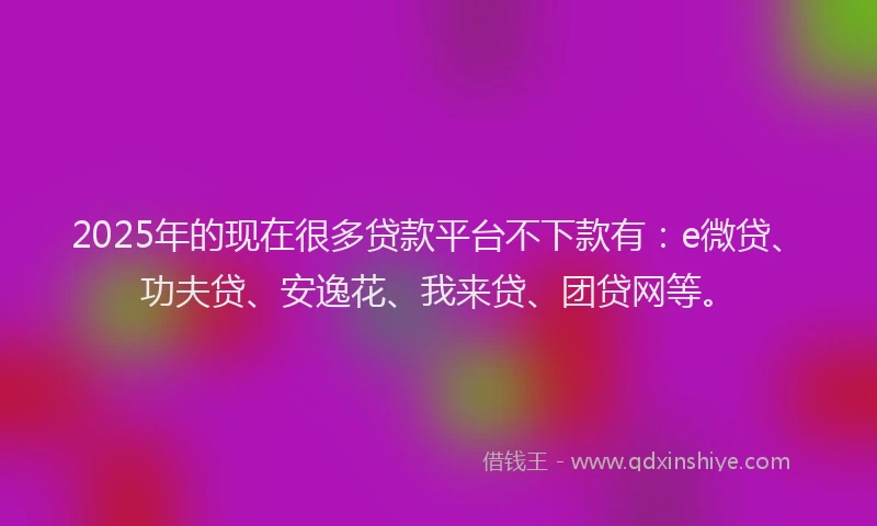 2025年的现在很多贷款平台不下款有：e微贷、功夫贷、安逸花、我来贷、团贷网等。