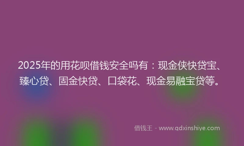 2025年的用花呗借钱安全吗有：现金侠快贷宝、臻心贷、固金快贷、口袋花、现金易融宝贷等。