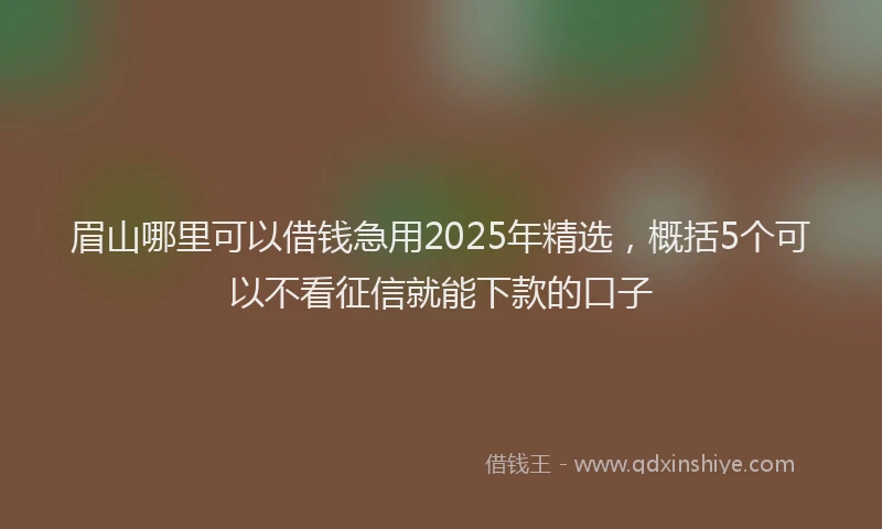 眉山哪里可以借钱急用2025年精选，概括5个可以不看征信就能下款的口子
