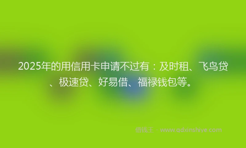 2025年的用信用卡申请不过有：及时租、飞鸟贷、极速贷、好易借、福禄钱包等。