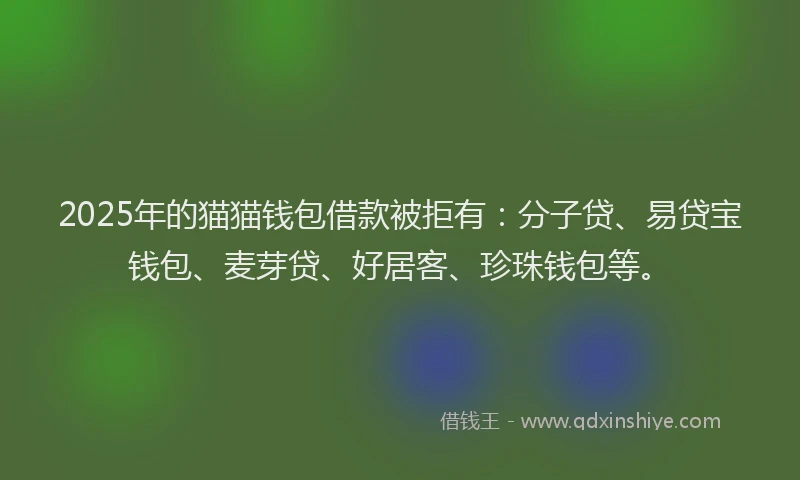 2025年的猫猫钱包借款被拒有：分子贷、易贷宝钱包、麦芽贷、好居客、珍珠钱包等。