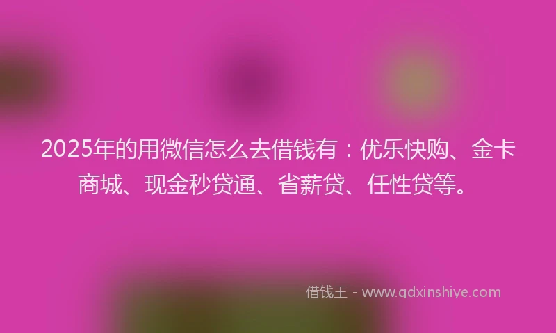 2025年的用微信怎么去借钱有：优乐快购、金卡商城、现金秒贷通、省薪贷、任性贷等。