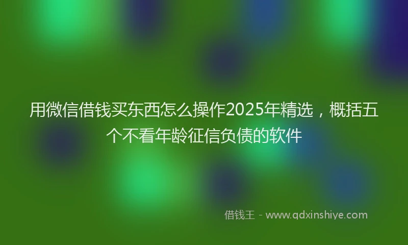 用微信借钱买东西怎么操作2025年精选，概括五个不看年龄征信负债的软件