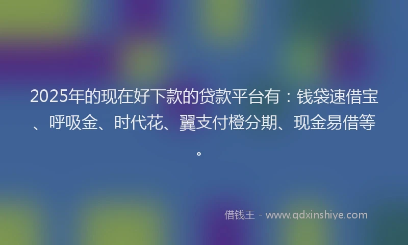 2025年的现在好下款的贷款平台有：钱袋速借宝、呼吸金、时代花、翼支付橙分期、现金易借等。
