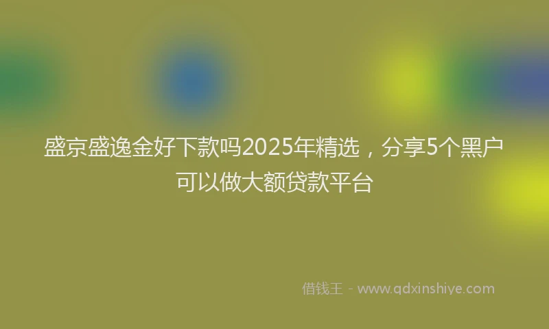 盛京盛逸金好下款吗2025年精选，分享5个黑户可以做大额贷款平台