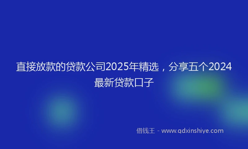 直接放款的贷款公司2025年精选，分享五个2024最新贷款口子