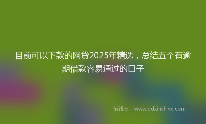 目前可以下款的网贷2025年精选，总结五个有逾期借款容易通过的口子