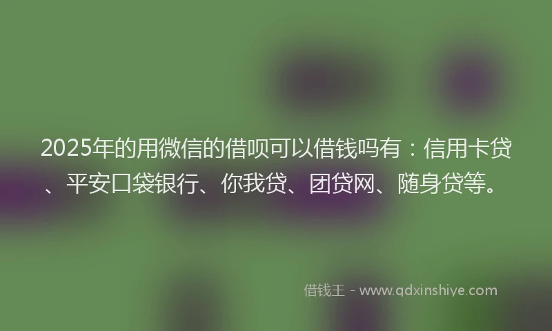 2025年的用微信的借呗可以借钱吗有:信用卡贷、平安口袋银行、你我贷、团贷网、随身贷等。