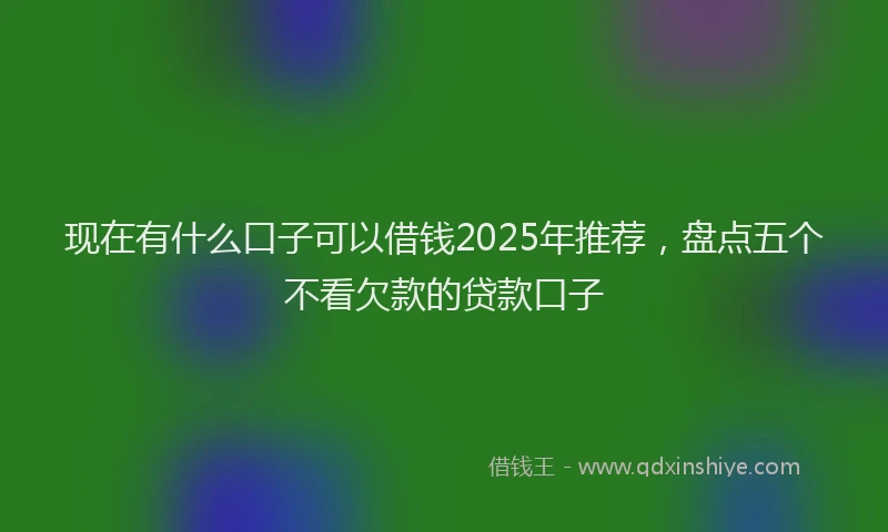 现在有什么口子可以借钱2025年推荐，盘点五个不看欠款的贷款口子