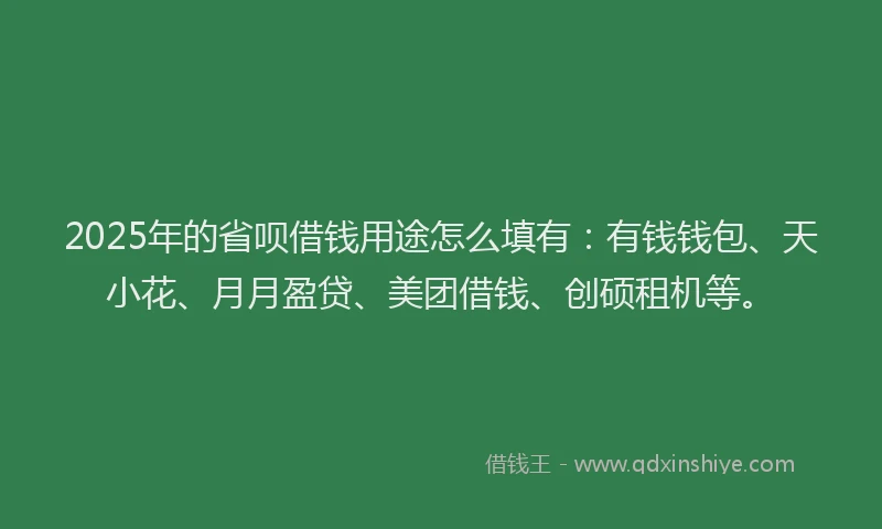 2025年的省呗借钱用途怎么填有：有钱钱包、天小花、月月盈贷、美团借钱、创硕租机等。