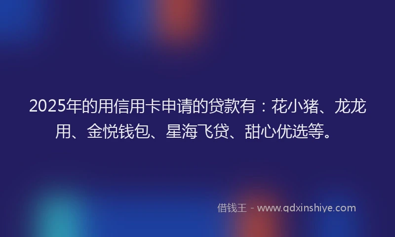 2025年的用信用卡申请的贷款有：花小猪、龙龙用、金悦钱包、星海飞贷、甜心优选等。