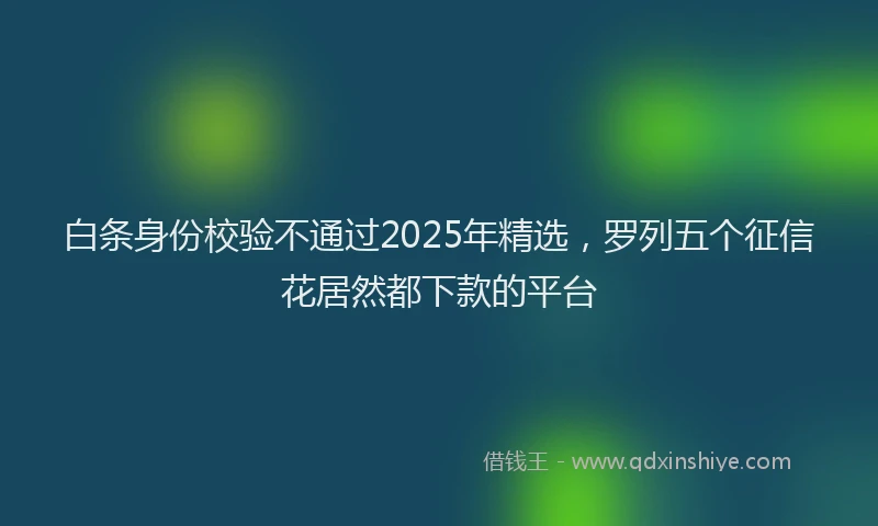 白条身份校验不通过2025年精选，罗列五个征信花居然都下款的平台