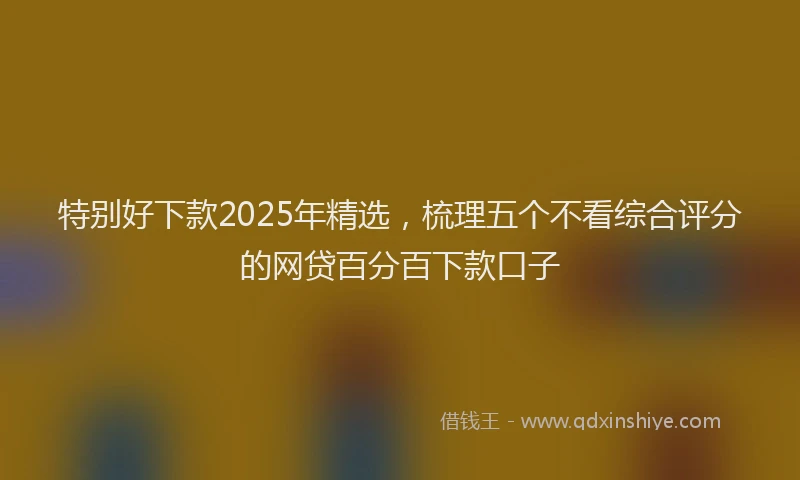 特别好下款2025年精选，梳理五个不看综合评分的网贷百分百下款口子
