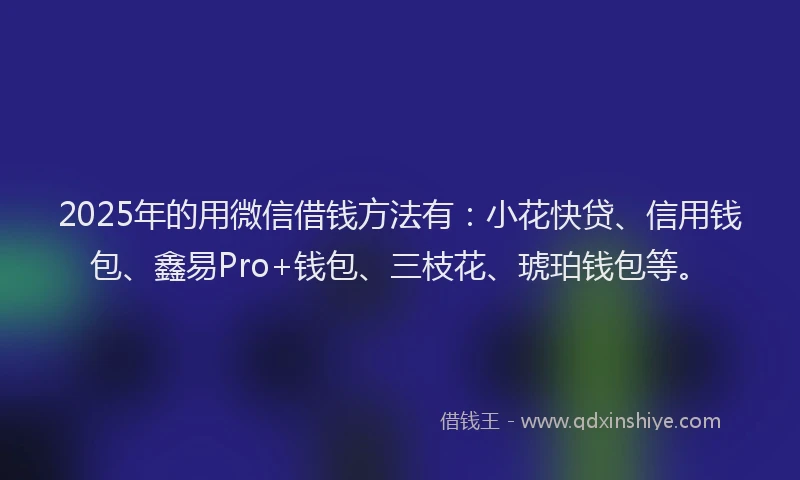 2025年的用微信借钱方法有：小花快贷、信用钱包、鑫易Pro+钱包、三枝花、琥珀钱包等。