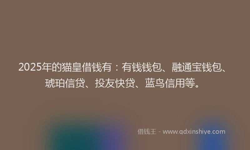 2025年的猫皇借钱有：有钱钱包、融通宝钱包、琥珀信贷、投友快贷、蓝鸟信用等。