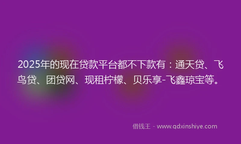 2025年的现在贷款平台都不下款有：通天贷、飞鸟贷、团贷网、现租柠檬、贝乐享-飞鑫琼宝等。