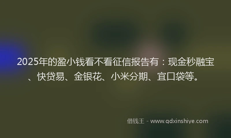 2025年的盈小钱看不看征信报告有：现金秒融宝、快贷易、金银花、小米分期、宜口袋等。