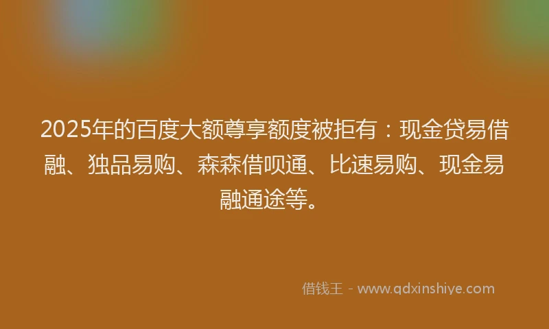 2025年的百度大额尊享额度被拒有：现金贷易借融、独品易购、森森借呗通、比速易购、现金易融通途等。