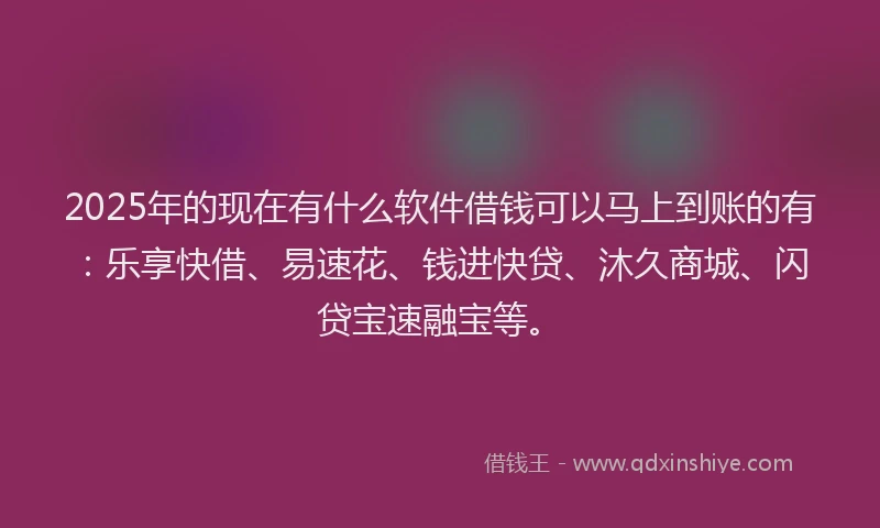 2025年的现在有什么软件借钱可以马上到账的有：乐享快借、易速花、钱进快贷、沐久商城、闪贷宝速融宝等。