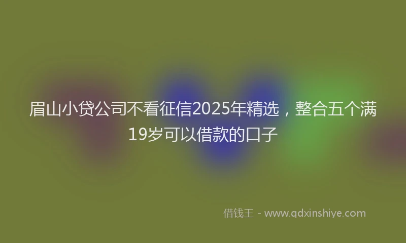 眉山小贷公司不看征信2025年精选，整合五个满19岁可以借款的口子