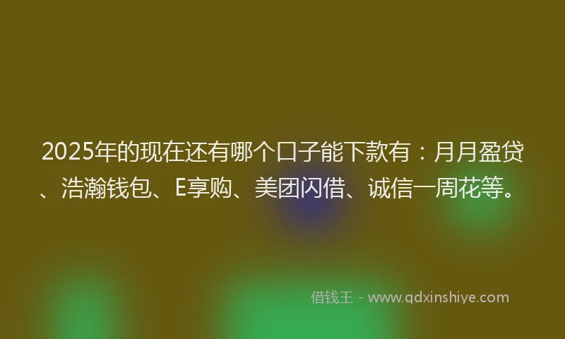 2025年的现在还有哪个口子能下款有：月月盈贷、浩瀚钱包、E享购、美团闪借、诚信一周花等。