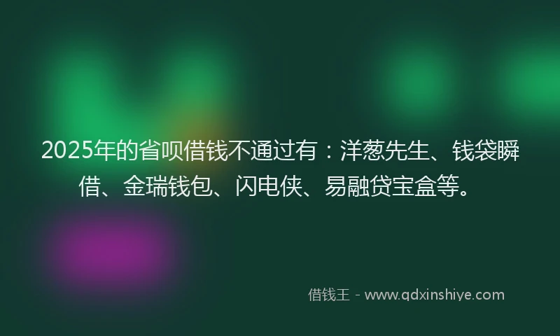 2025年的省呗借钱不通过有：洋葱先生、钱袋瞬借、金瑞钱包、闪电侠、易融贷宝盒等。