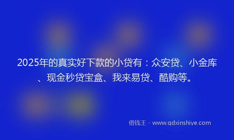 2025年的真实好下款的小贷有：众安贷、小金库、现金秒贷宝盒、我来易贷、酷购等。