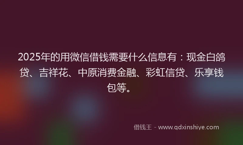 2025年的用微信借钱需要什么信息有：现金白鸽贷、吉祥花、中原消费金融、彩虹信贷、乐享钱包等。