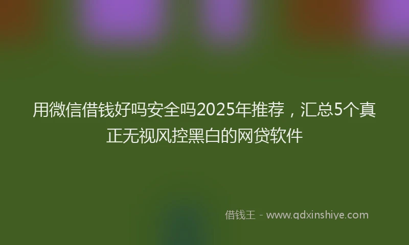 用微信借钱好吗安全吗2025年推荐，汇总5个真正无视风控黑白的网贷软件