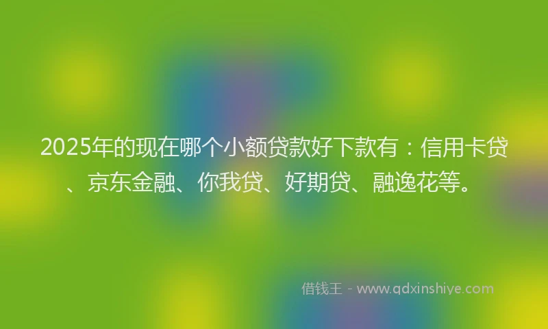 2025年的现在哪个小额贷款好下款有：信用卡贷、京东金融、你我贷、好期贷、融逸花等。