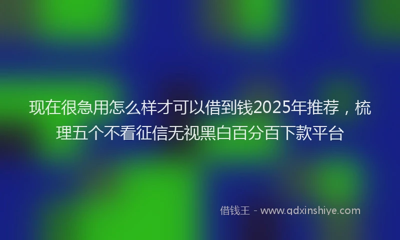 现在很急用怎么样才可以借到钱2025年推荐，梳理五个不看征信无视黑白百分百下款平台