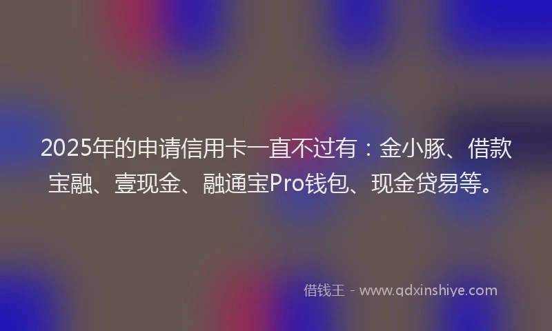 2025年的申请信用卡一直不过有：金小豚、借款宝融、壹现金、融通宝Pro钱包、现金贷易等。