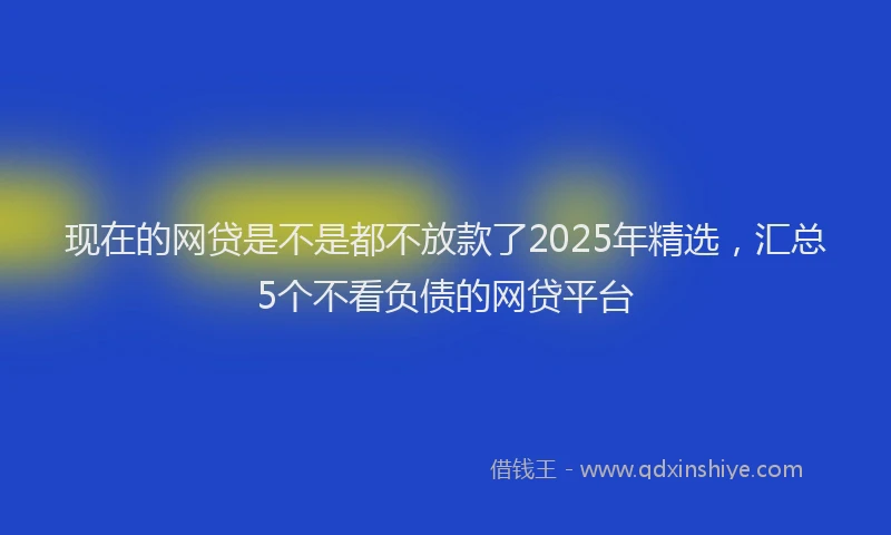 现在的网贷是不是都不放款了2025年精选，汇总5个不看负债的网贷平台