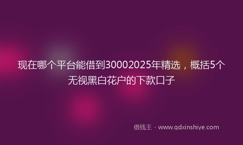 现在哪个平台能借到30002025年精选，概括5个无视黑白花户的下款口子