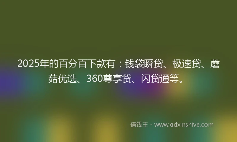 2025年的百分百下款有：钱袋瞬贷、极速贷、蘑菇优选、360尊享贷、闪贷通等。