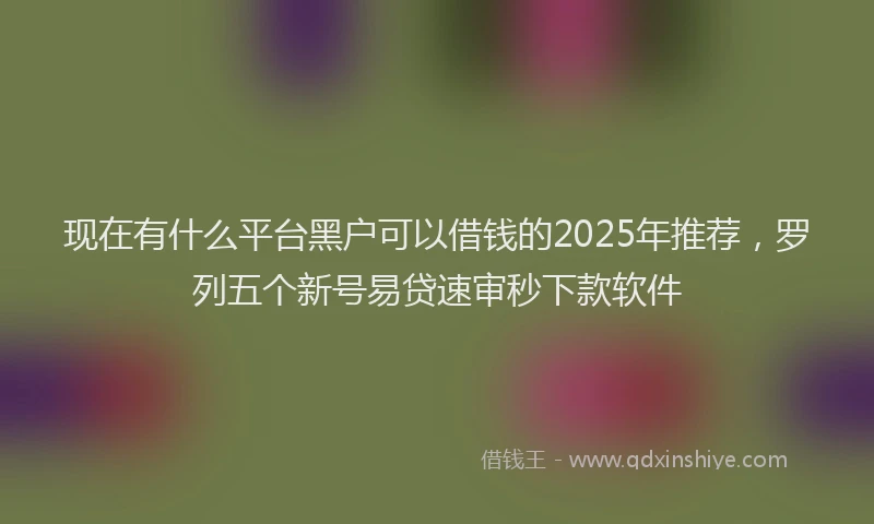 现在有什么平台黑户可以借钱的2025年推荐，罗列五个新号易贷速审秒下款软件