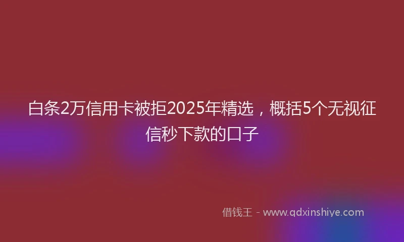 白条2万信用卡被拒2025年精选，概括5个无视征信秒下款的口子