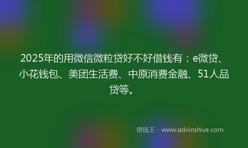 2025年的用微信微粒贷好不好借钱有：e微贷、小花钱包、美团生活费、中原消费金融、51人品贷等。