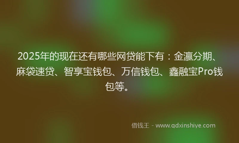 2025年的现在还有哪些网贷能下有:金瀛分期、麻袋速贷、智享宝钱包、万信钱包、鑫融宝Pro钱包等。
