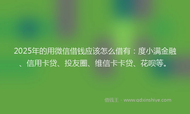 2025年的用微信借钱应该怎么借有：度小满金融、信用卡贷、投友圈、维信卡卡贷、花呗等。