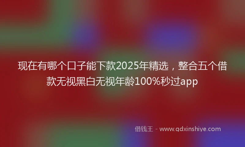 现在有哪个口子能下款2025年精选，整合五个借款无视黑白无视年龄100%秒过app