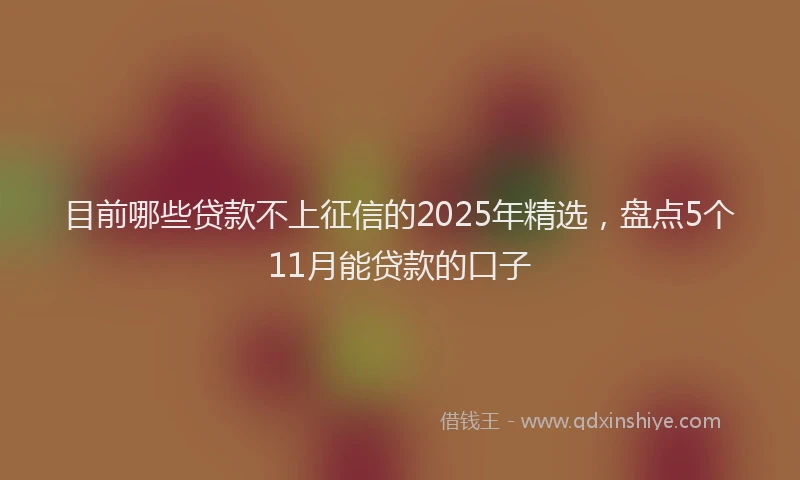 目前哪些贷款不上征信的2025年精选，盘点5个11月能贷款的口子