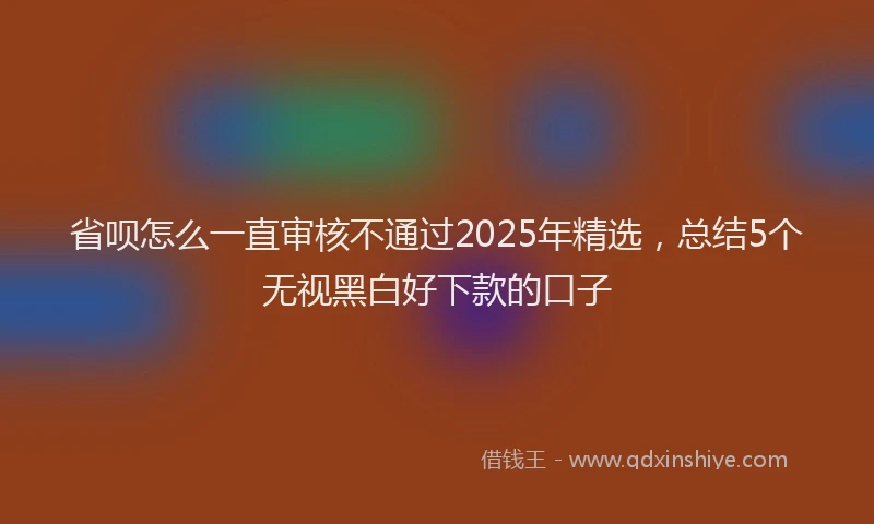 省呗怎么一直审核不通过2025年精选，总结5个无视黑白好下款的口子