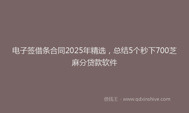 电子签借条合同2025年精选，总结5个秒下700芝麻分贷款软件
