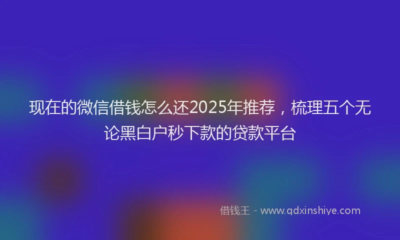 现在的微信借钱怎么还2025年推荐，梳理五个无论黑白户秒下款的贷款平台