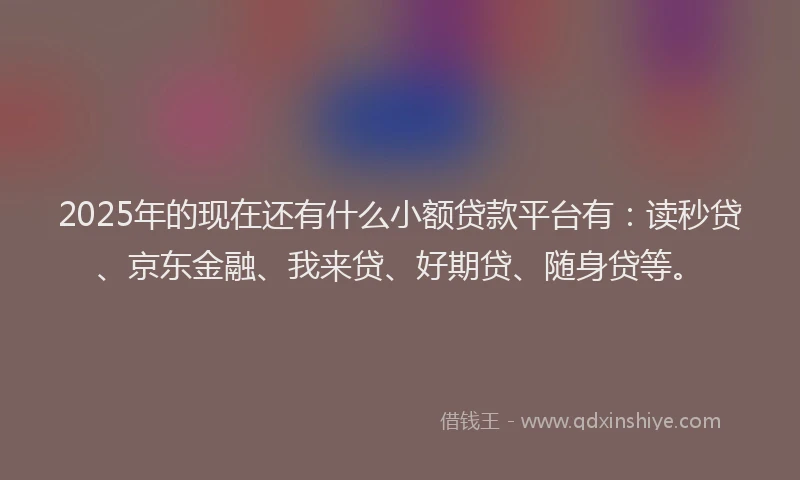 2025年的现在还有什么小额贷款平台有：读秒贷、京东金融、我来贷、好期贷、随身贷等。