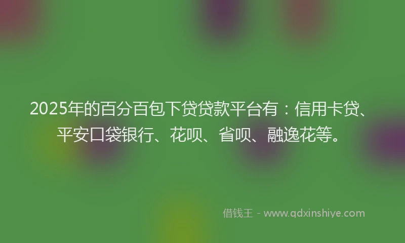 2025年的百分百包下贷贷款平台有：信用卡贷、平安口袋银行、花呗、省呗、融逸花等。