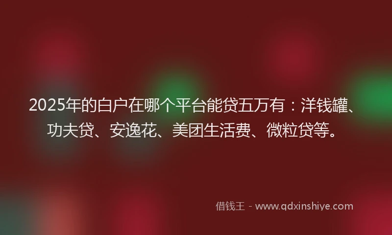 2025年的白户在哪个平台能贷五万有：洋钱罐、功夫贷、安逸花、美团生活费、微粒贷等。