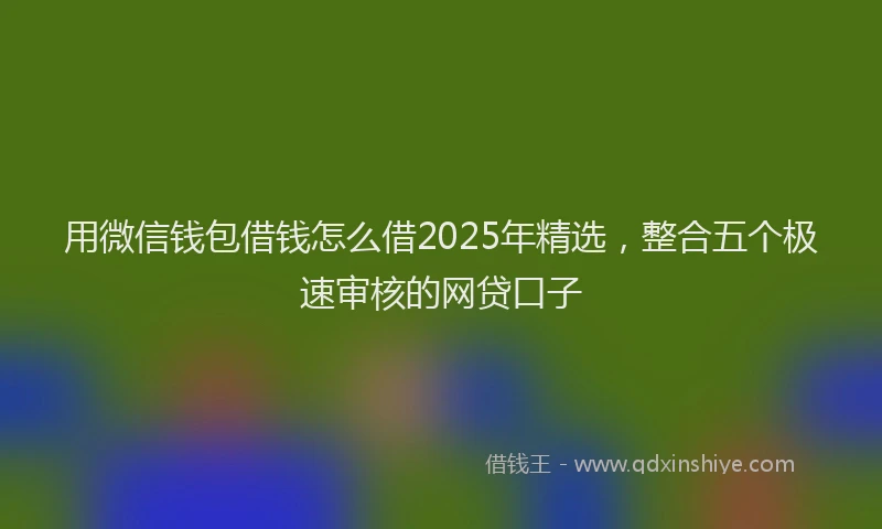 用微信钱包借钱怎么借2025年精选，整合五个极速审核的网贷口子
