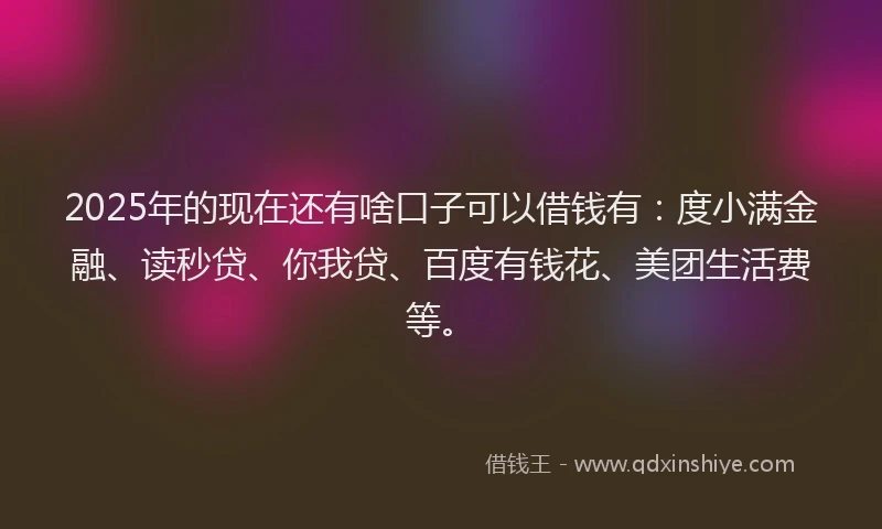 2025年的现在还有啥口子可以借钱有：度小满金融、读秒贷、你我贷、百度有钱花、美团生活费等。
